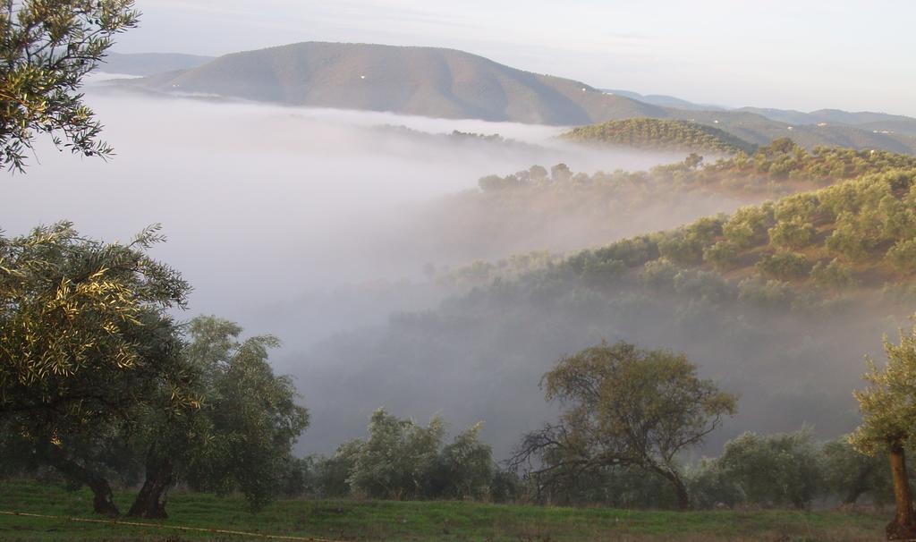 Hostal Los Encinares Villanueva de Córdoba Εξωτερικό φωτογραφία